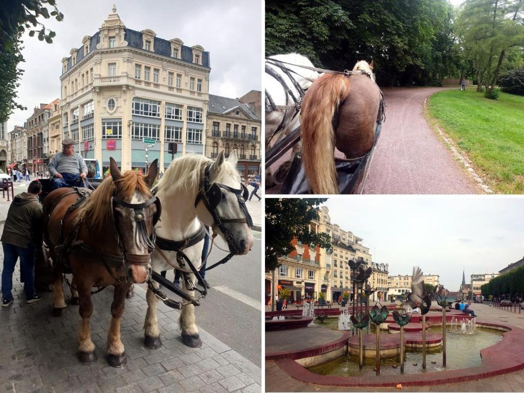 Le Classique - Elegant & Lumineux En Centre-ville Douai